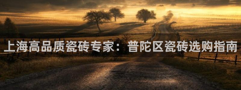 杏鑫官方app代理