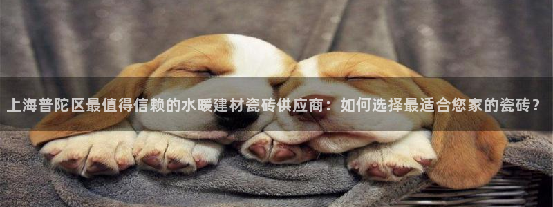 杏鑫手机客户端