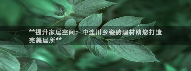 杏鑫平台代理怎么做赚钱