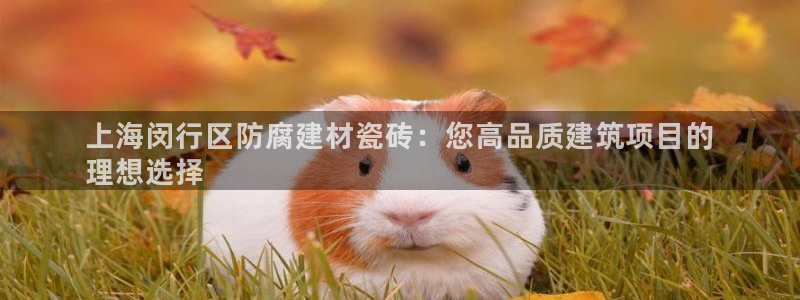 杏鑫平台怎么样黑钱吗安全吗