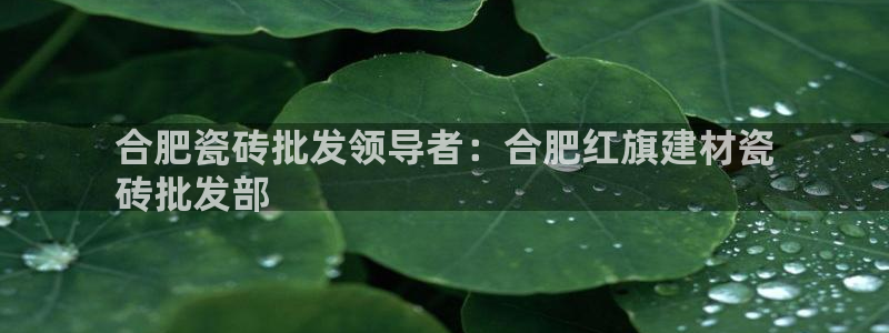 杏鑫平台怎么样黑钱吗安全吗是真的吗