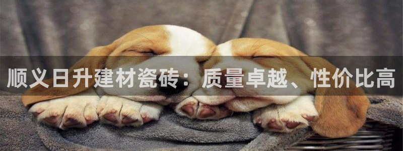 杏鑫代理注册登录