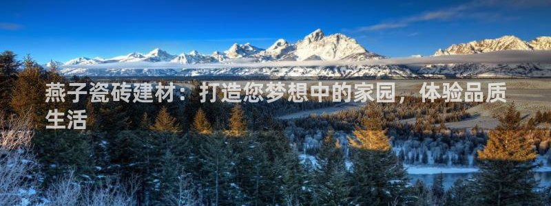 杏鑫平台代理注册流程及费用