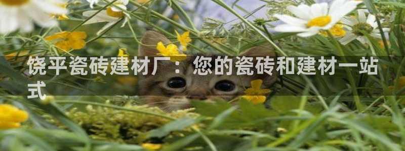 杏鑫娱乐平台登录