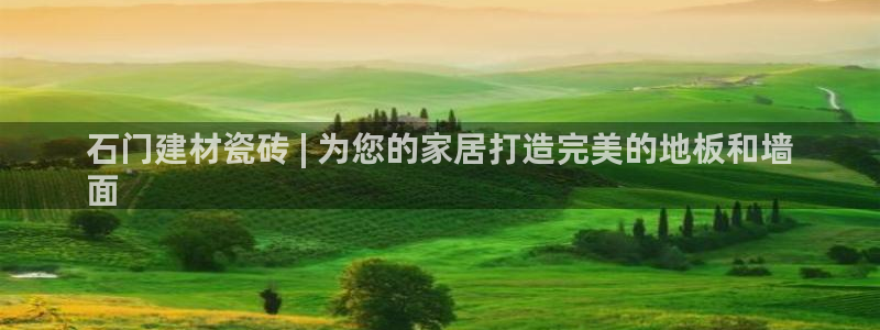 杏鑫平台代理怎么样啊
