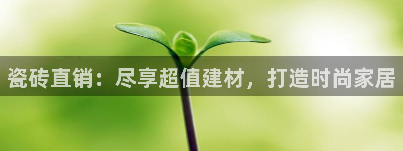 杏鑫平台招商电话