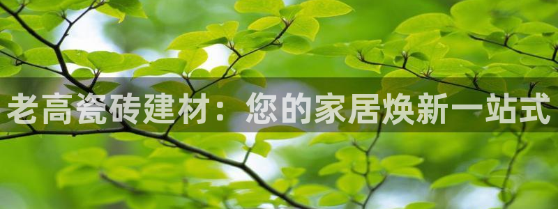 杏鑫平台招商电话号码