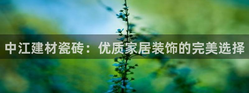 杏鑫注册登录代理公司