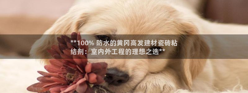 杏鑫登录注册测速