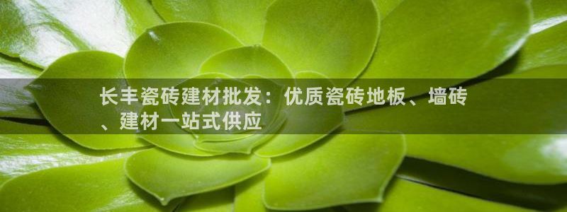 杏鑫手机客户端怎么下载