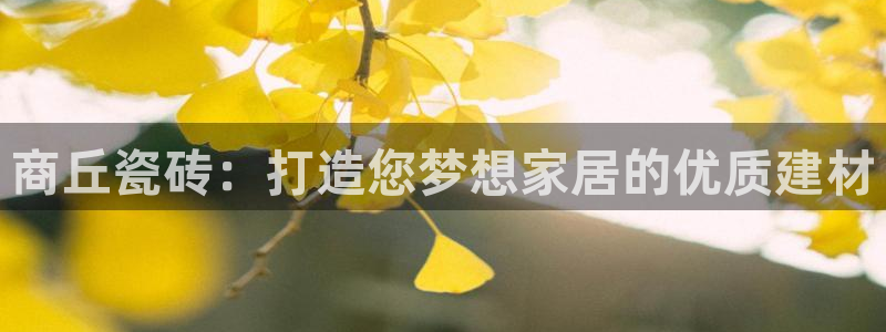 杏鑫平台代理注册登录不了怎么办呀苹果