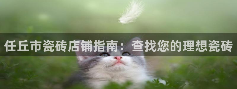 杏鑫平台注册地址是哪里