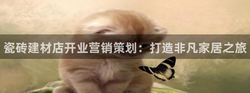 杏鑫代理注册资金多少