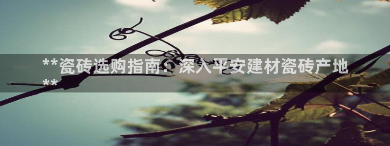 杏鑫平台登录地址是什么