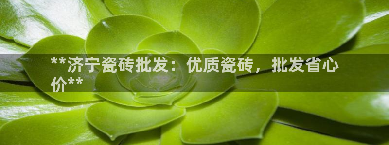 杏鑫平台代理注册流程视频