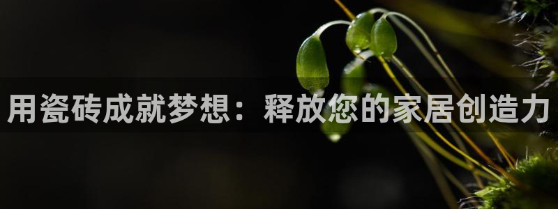 杏鑫娱乐官网首页