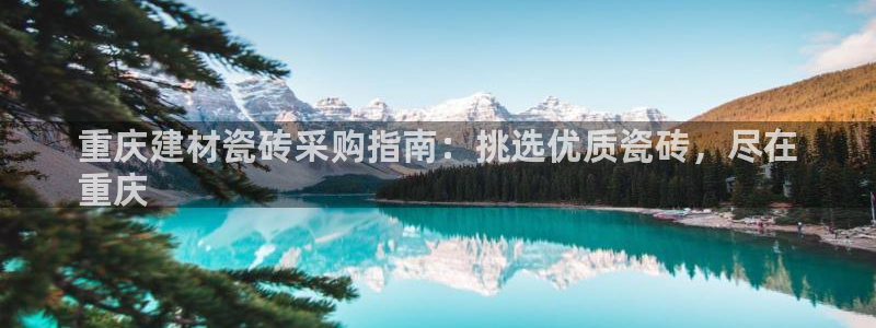 杏鑫平台注册地址