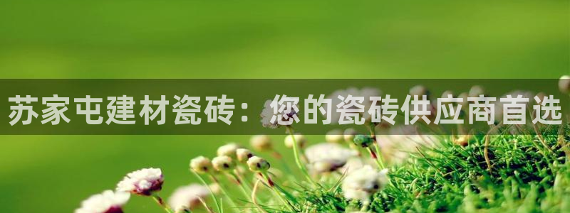 杏鑫娱乐怎么样