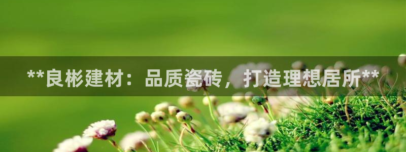 杏鑫娱乐开发团队