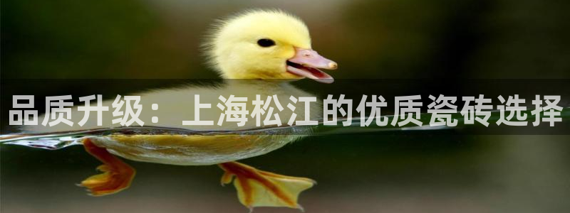 杏鑫平台登录地址