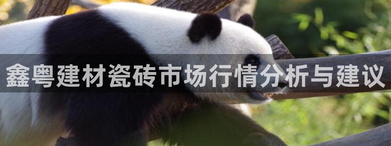 杏鑫平台登录地址