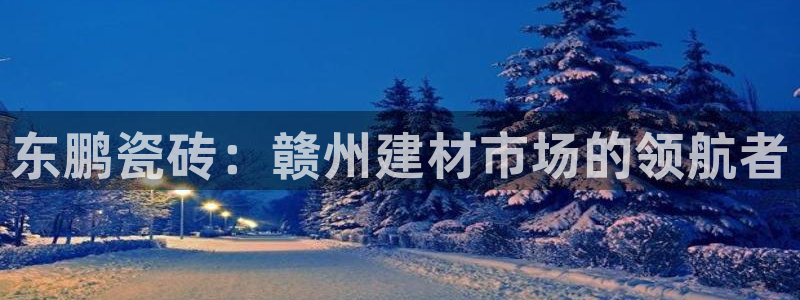 杏鑫平台注册登录