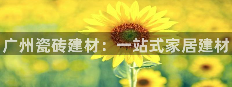 杏鑫注册平台官方网站下载