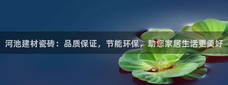 杏鑫平台注册网址查询