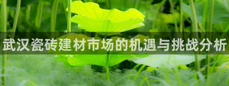 杏鑫平台代理注册多少钱