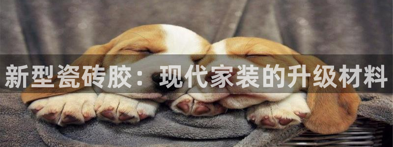 杏鑫代理注册平台