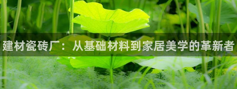 杏鑫平台下载安装