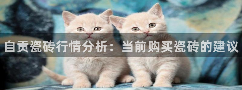 杏鑫娱乐平台测速怎么样